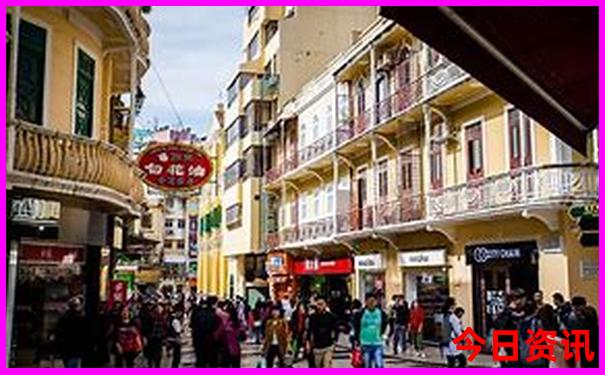 云南哪里有海鸥旅游景点